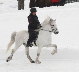 2011kjarkur