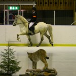 Elsa och Kjarkur 2010