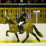 Evelina och Svadilfari 2010