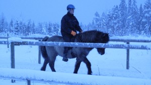 FridaoSleipnirskritt