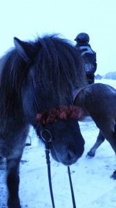 Glittersleipnir