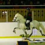 Gummi och Döggvi 2010