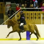 Gummi och Svörður 2010