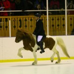 Hjalti och Illingur 2010