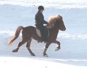 Eldslogi på Wången 2010