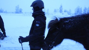 Mariavantarparesultatsiffror
