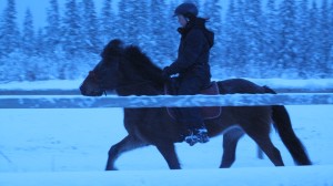 NattaLukkustjarna