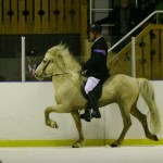 Reynir och Steggur 2010