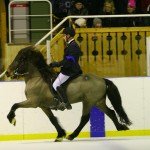Sigfús och Leiknir 2010