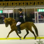 Valdimar och Heimur 2010