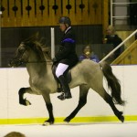Vignir och Isar 2010