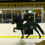 Camilla och Thor vinnare av hingstklassen på Dille Gårds Istölt 2010