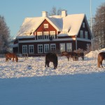 Södra och skolhästar