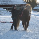 AmandaoDrekiarbetefrmarken