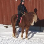 AmandaochDreki