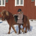 FannyoEldslogiarbetefrmarken