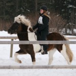 JuliaIvarssonoPrins