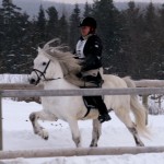 LenaFernlundoKjarkur