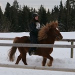 MalionKarlssonOEldslogi