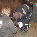 IMG_5532 IMG_5532