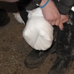 IMG_5533 IMG_5533