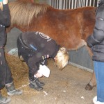 IMG_5534 IMG_5534