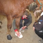 IMG_5536 IMG_5536