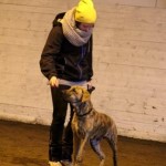 webhund