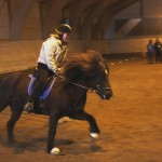 Lindarosgalopp