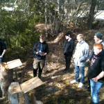 Bild 003