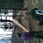 Bild 005
